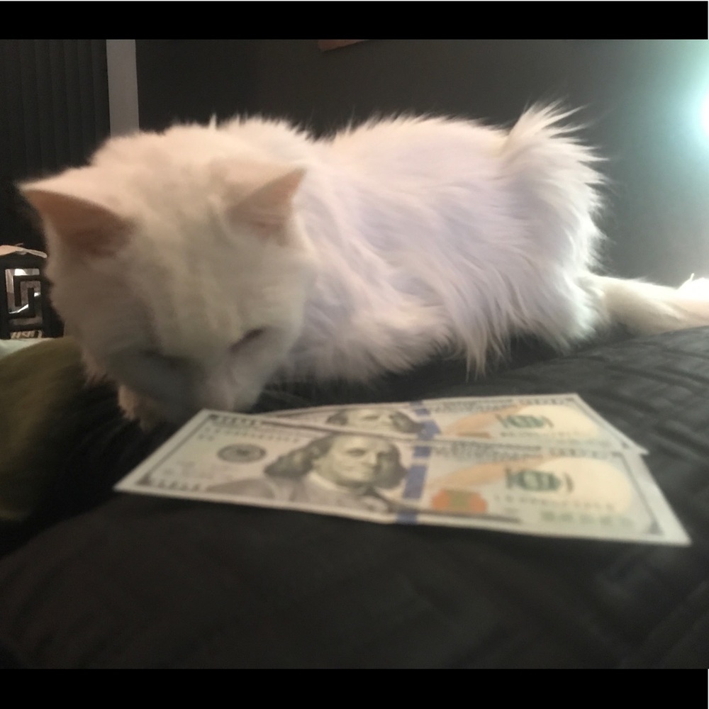 Meet your Posher, Pat